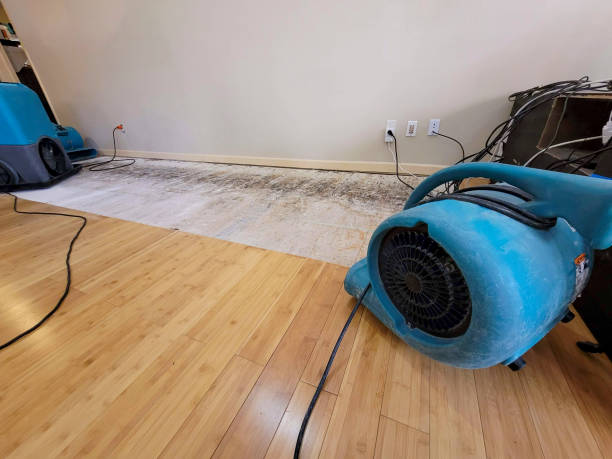 Professional Water Damage Repair technician working in Poland, OH
